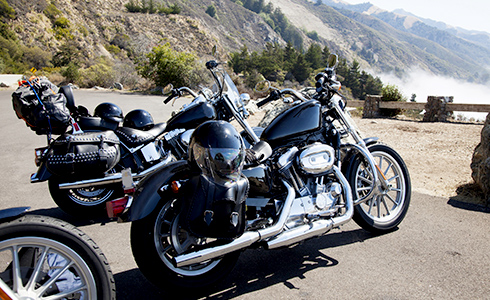 新品！ペッパー警部~バイバイカーニバル ニンジャZX-25R用